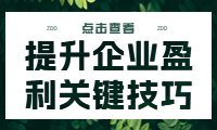 經(jīng)營賬講解：提升企業(yè)盈利的關(guān)鍵技巧